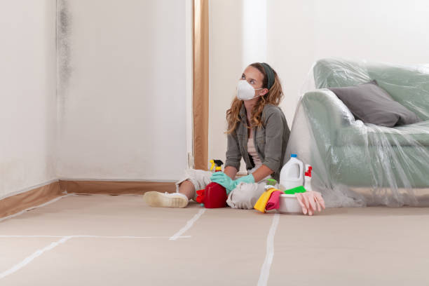 Reliable Mold Remediation contractor in Haltom City, TX by Mold Remediation HQ